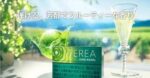 TEREA SHINE PEARL青提爆珠IQOS煙彈:圖片 3